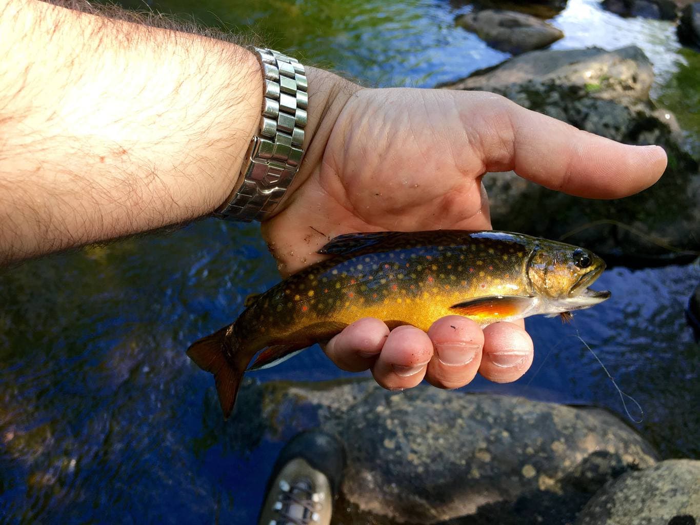 Fly Fishing Conway NH with Swift River Ghillie