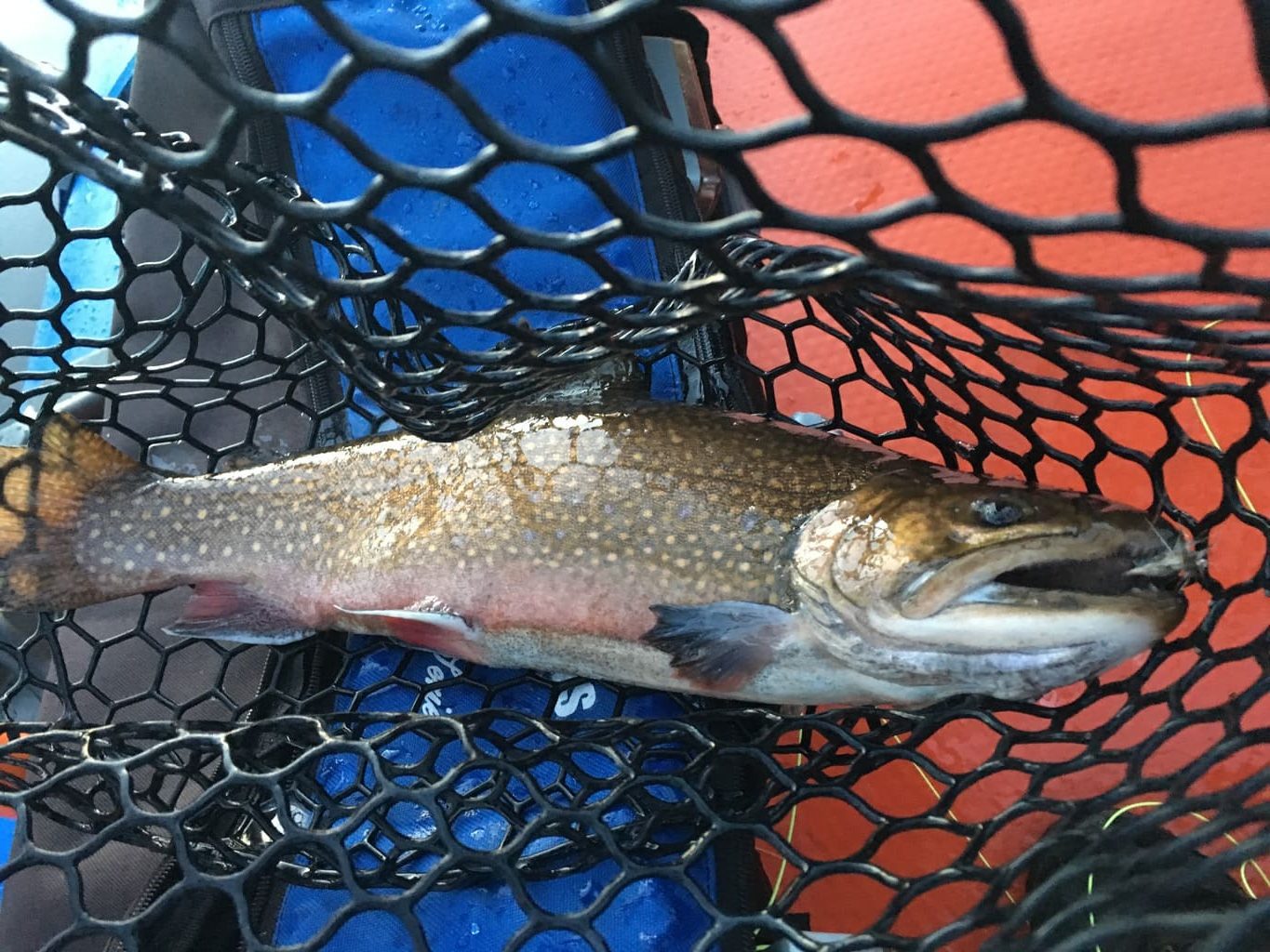 Fly Fishing Conway NH with Swift River Ghillie