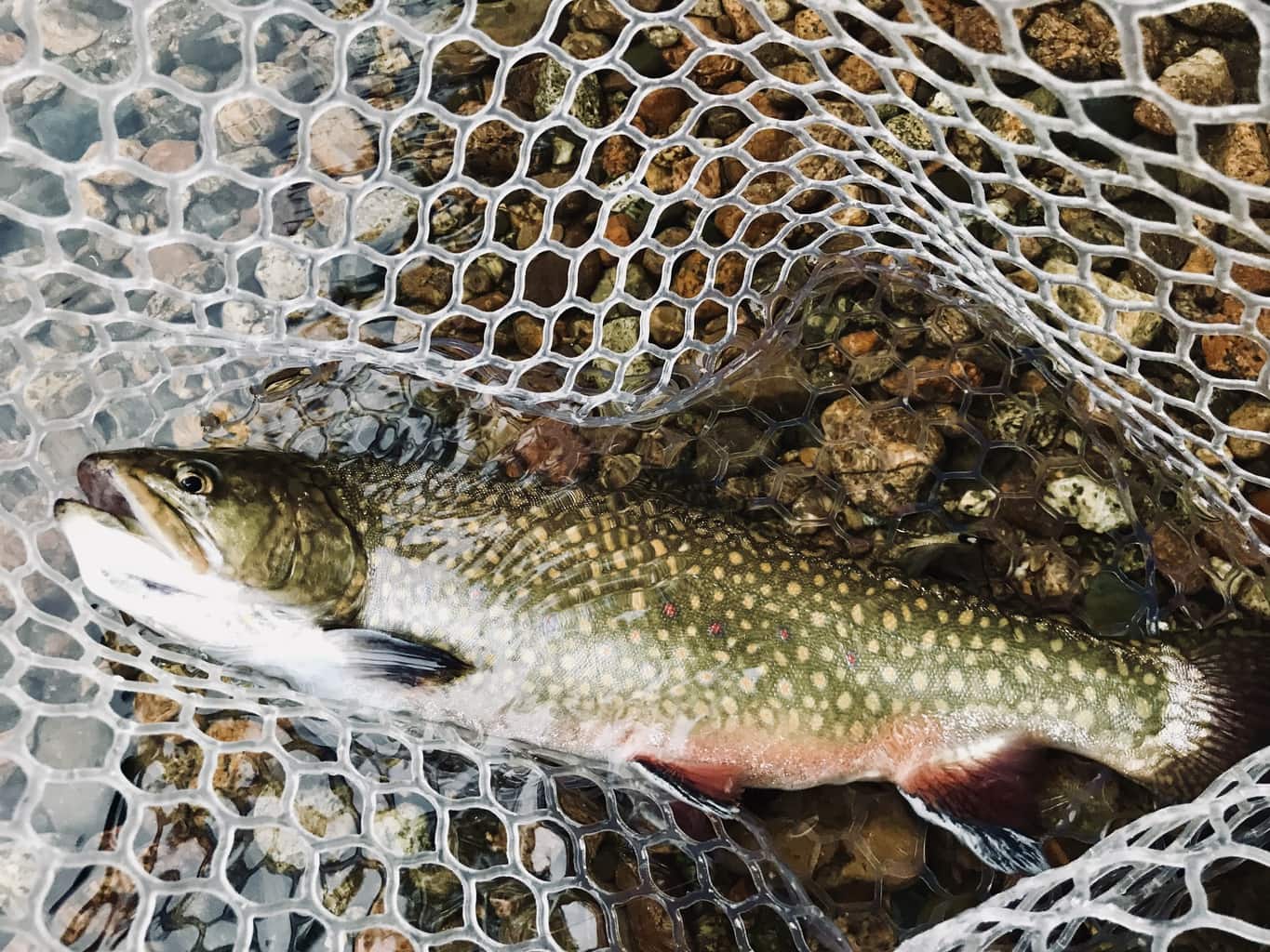 Fly Fishing Conway NH with Swift River Ghillie