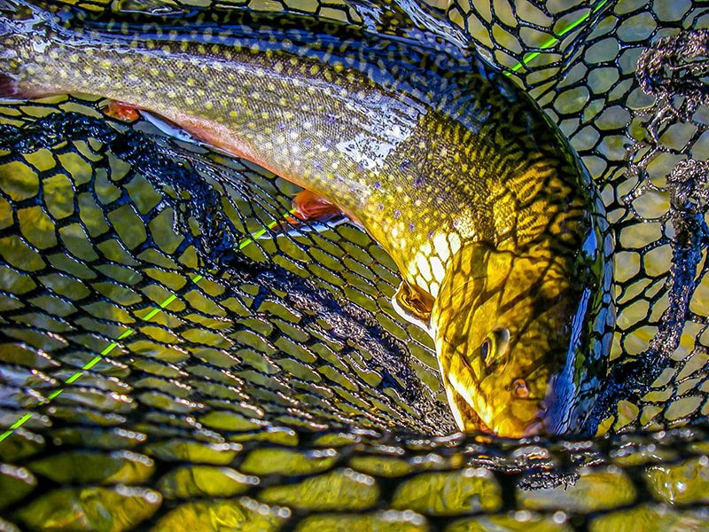 Fly Fishing Conway NH with Swift River Ghillie