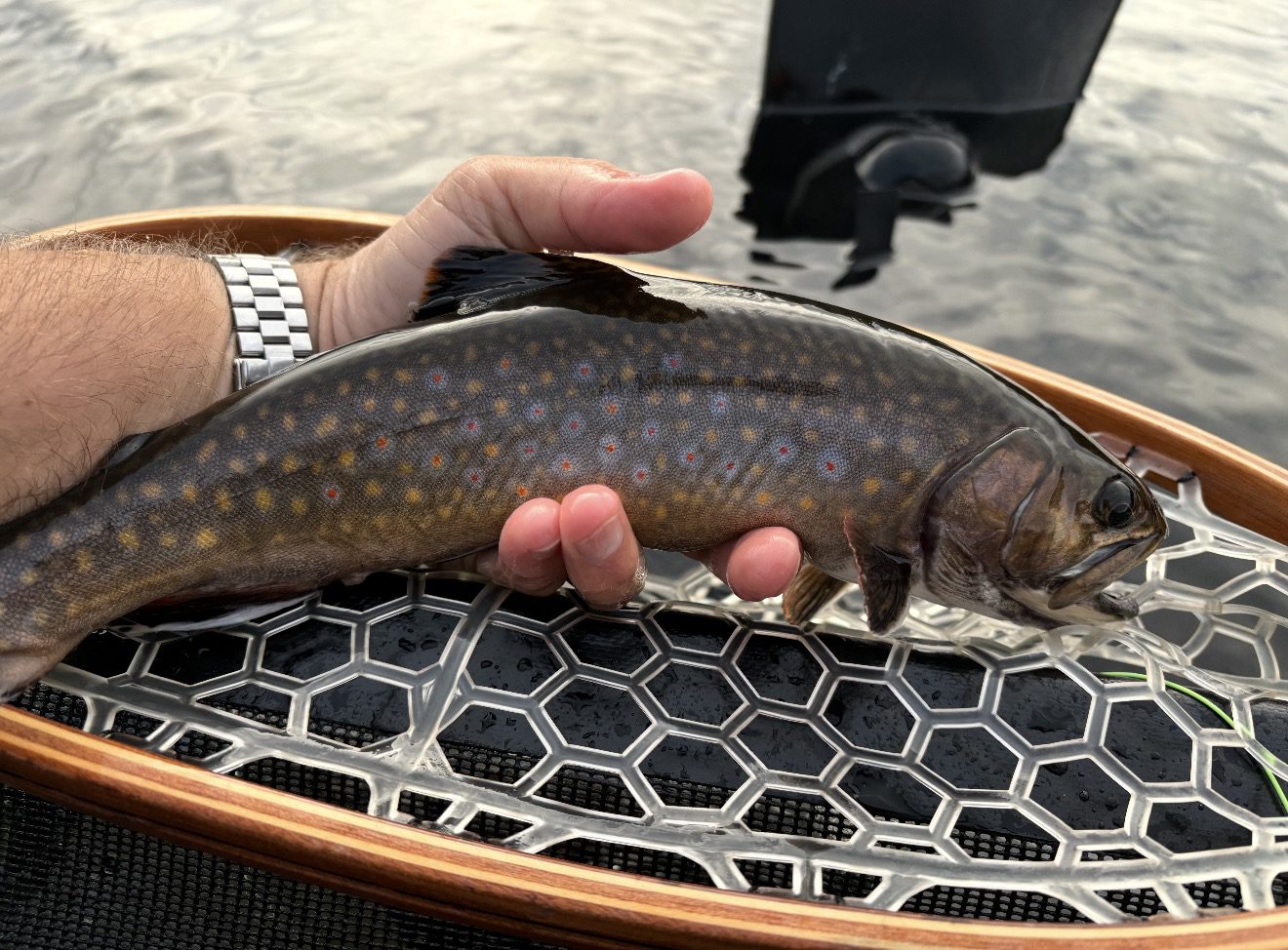 Fly Fishing Conway NH with Swift River Ghillie