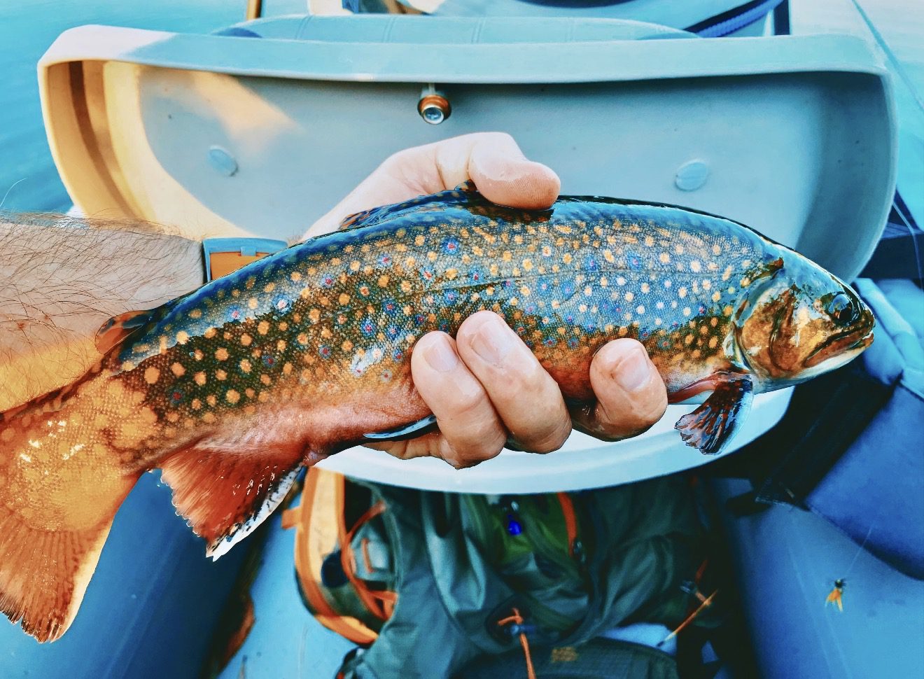 Fly Fishing Conway NH with Swift River Ghillie