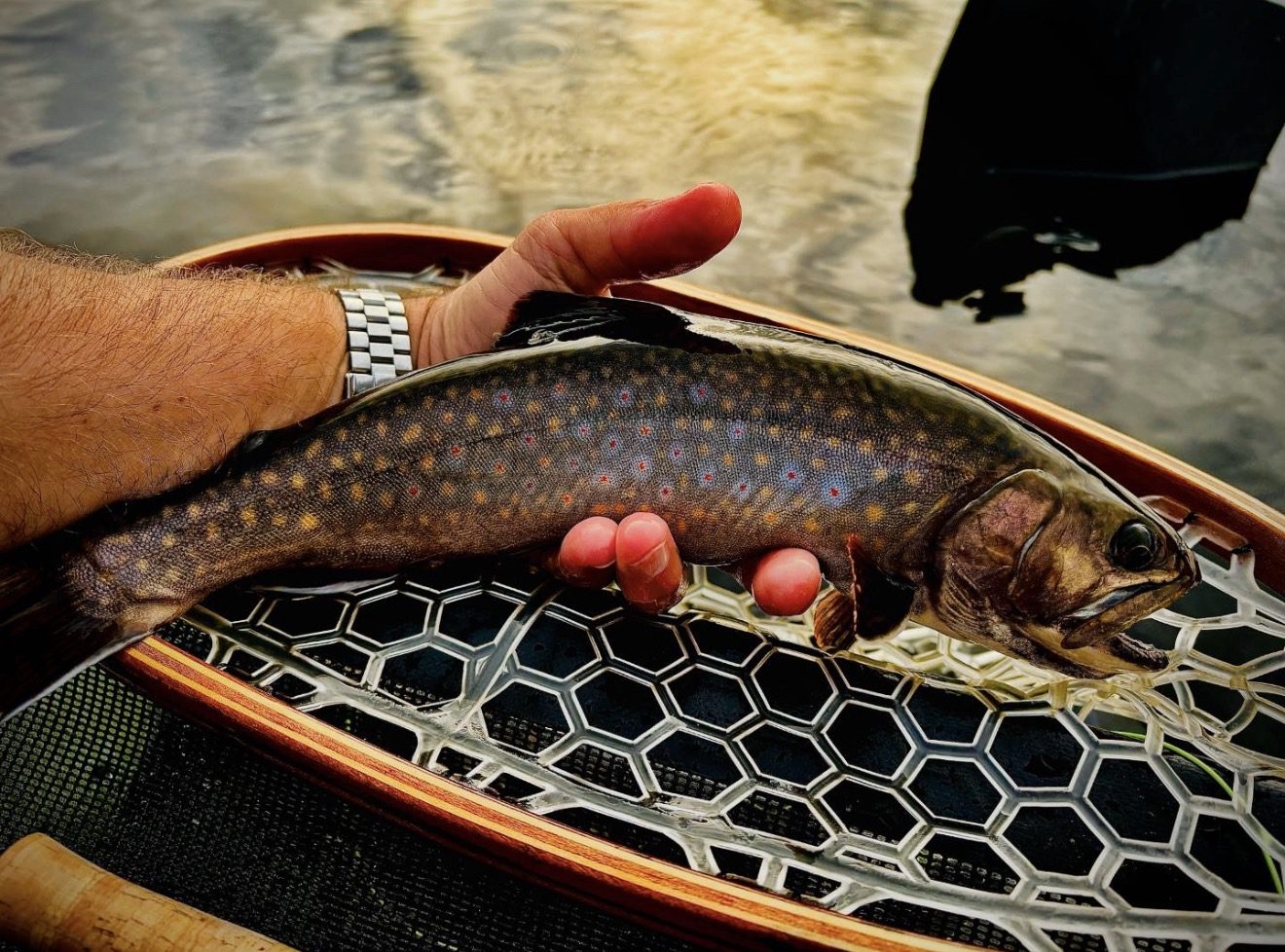 Fly Fishing Conway NH with Swift River Ghillie